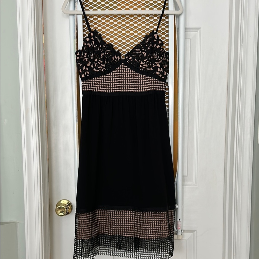 NWT Theory Black and Blush Lace Dress